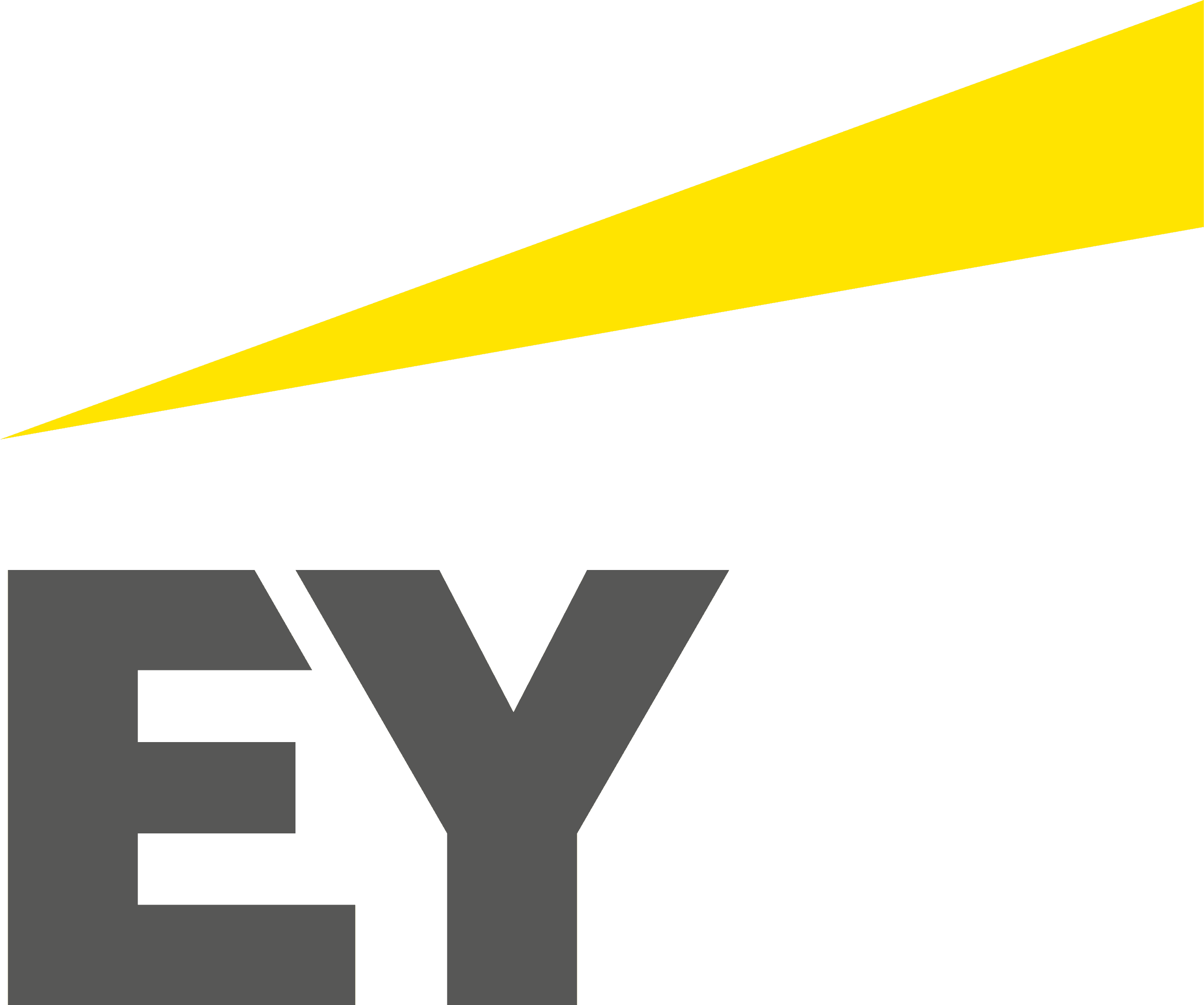 Company Logo 5